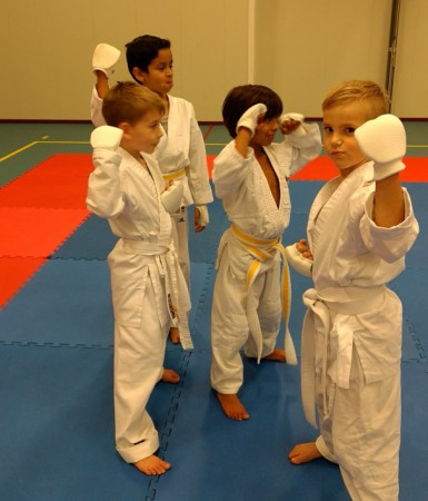 Karate in Assendelft